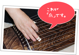 これが琴を弾く「爪」です。