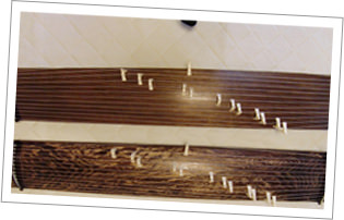 琴や三味線などの楽器はご用意しています。